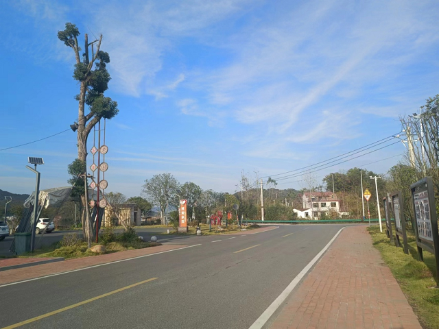 四棵楓四好公路項(xiàng)目